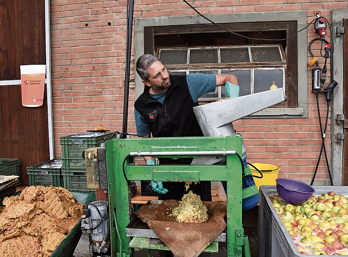 Thomas Vogt «füttert» die Mostpresse und zeigt, wie aus frisch geernteten Äpfeln köstlicher Most entsteht. Thomas Vogt «füttert» die Mostpresse und zeigt, wie aus frisch geernteten Äpfeln köstlicher Most entsteht.