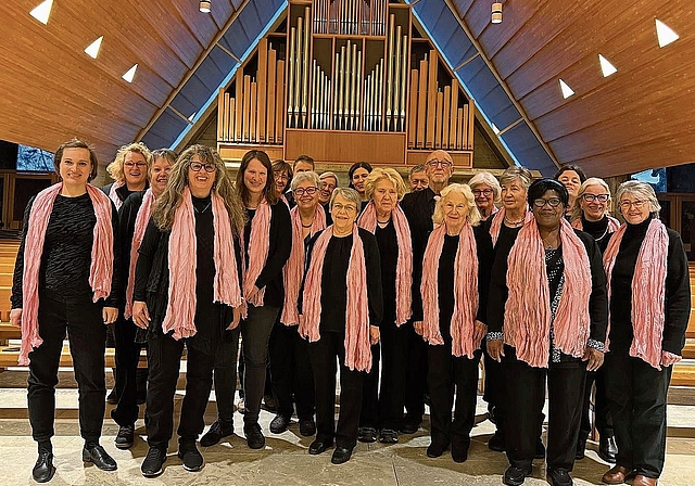 Der Chor mit seinen Mitgliedern und der Chorleiterin (ganz links) im Jubiläumsjahr und im modernen Auftrittslook.Bild: zvg