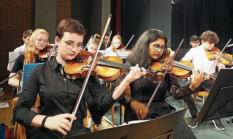Das Regionale Sinfonieorchester hat Auftritte in Grenchen und Solothurn. Bild: zvg.