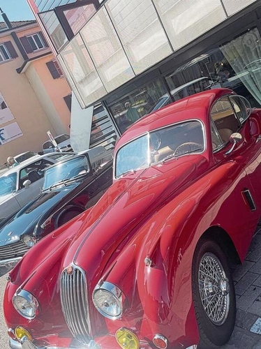 Parade von tollen Oldtimern – um die 
60 Fahrzeuge waren vor Ort.