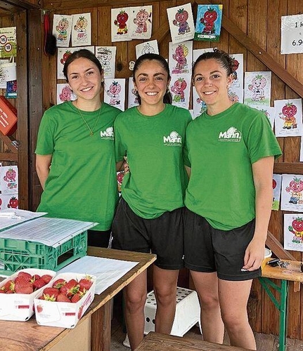 Es braucht viele Hände, die mitarbeiten. Hier an der Wäg- und Verkaufsstation in der Witi: Nina Reichlin aus Bettlach sowie Federica und Giorgia Sartore aus Bellach, die ihre Studentenkasse etwas aufbessern und gerne Erdbeeren essen.