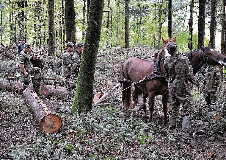 Über 30 Soldatinnen und Soldaten sind zusammen mit den Pferden und Maultieren im Grosseinsatz. Bild: zvg