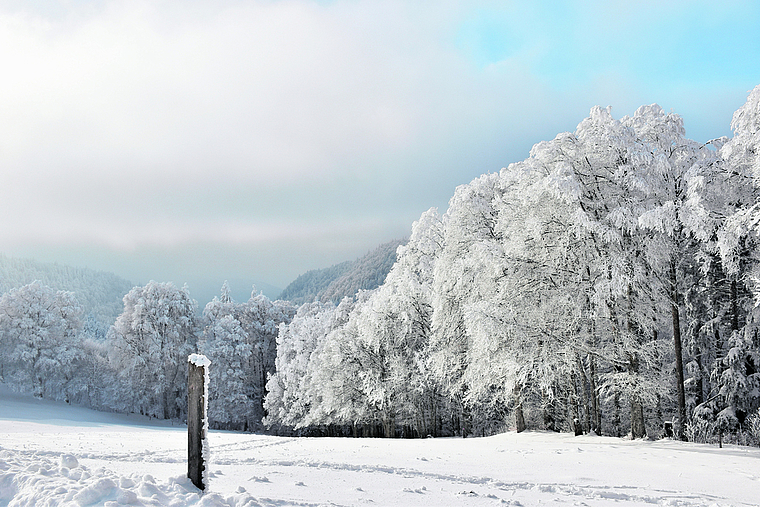 Momentaufnahme von letzten Sonntag auf dem Grenchenberg: Der Winter ist auf gutem Weg! Bild: Joseph Weibel (29. Januar 2023)