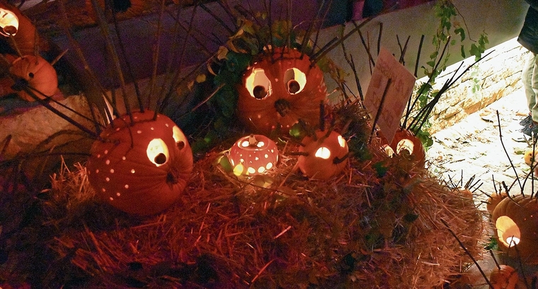 Wenn es dunkel wird, verwandeln die erleuchteten geschnitzten Kürbisse den Marktplatz in einen stimmungsvollen Ort. Bild: Joseph Weibel