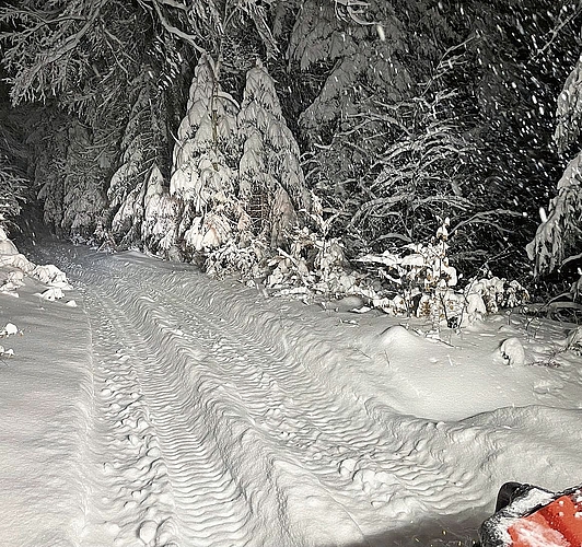 Wird es diesen Winter viel Schnee geben, kommt der Quad mit den Raupen und dem Spurgerät zum Einsatz.Bild: Patrik Mosimann, Förster Wird es diesen Winter viel Schnee geben, kommt der Quad mit den Raupen und dem Spurgerät zum Einsatz.Bild: Patrik Mosimann, Förster