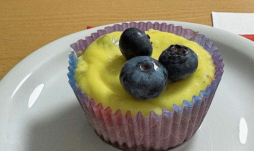 Zum Dessert gab es kleine polnische Cheesecakes mit frischen Blaubeeren.Bilder: Joseph Weibel und Lisa Bertelle