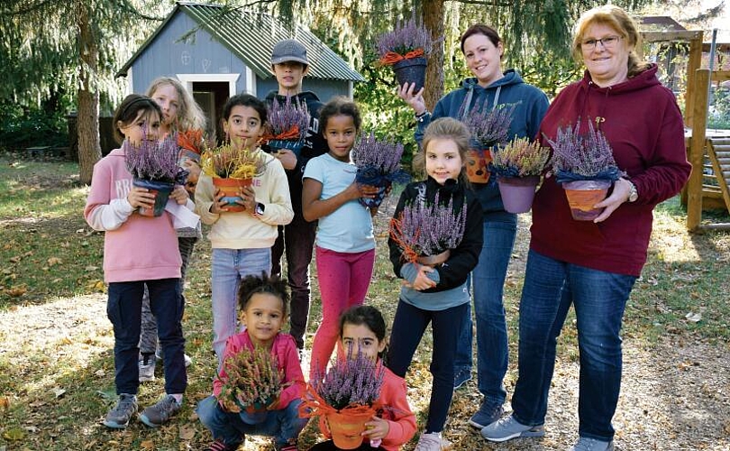 Die Blumentöpfe wurden eigenhändig mit Erikas gepflanzt und durften mit nach Hause genommen werden.Bild: Daniel Martiny
