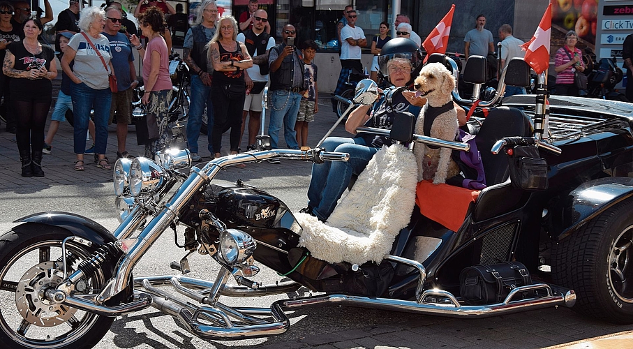 Frau und Hund sind bereits abfahrbereit.