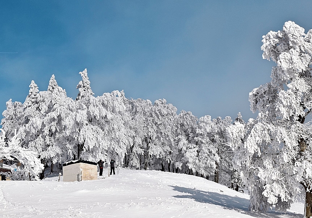 Solche Bilder wünschen wir uns auch im kommenden Winter auf dem Grenchenberg wieder. Das hofft ebenso Christoph Rauber, VR-Präsident der Skilift Grenchenberg AG (im Bild eingeklinkt). Bilder: Joseph Weibel/zvg 