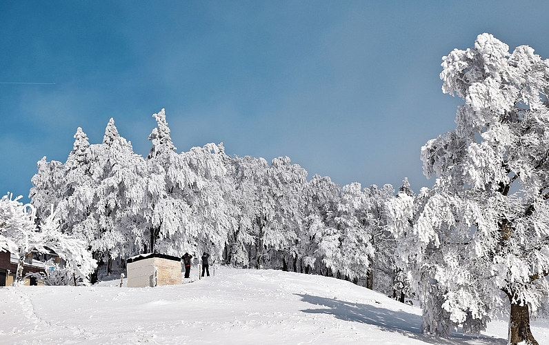 Solche Bilder wünschen wir uns auch im kommenden Winter auf dem Grenchenberg wieder. Das hofft ebenso Christoph Rauber, VR-Präsident der Skilift Grenchenberg AG (im Bild eingeklinkt). Bilder: Joseph Weibel/zvg Solche Bilder wünschen wir uns auch im kommenden Winter auf dem Grenchenberg wieder. Das hofft ebenso Christoph Rauber, VR-Präsident der Skilift Grenchenberg AG (im Bild eingeklinkt). Bilder: Joseph Weibel/zvg