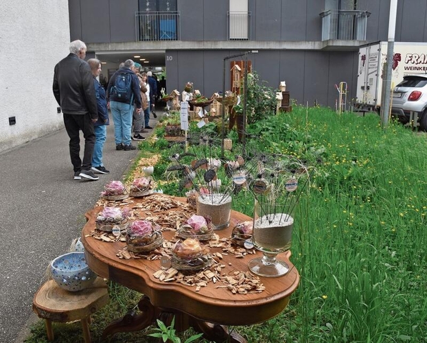 Das gibt Lust auf Frühlings- und Sommerfreuden: Gleich zum Start in den Rundgang beim «rodania Frühlingsfest» werden Setzlinge, Kräuter und viele unterschiedliche und kreativ gestaltete Insektenhotels präsentiert.Bilder: Joseph Weibel