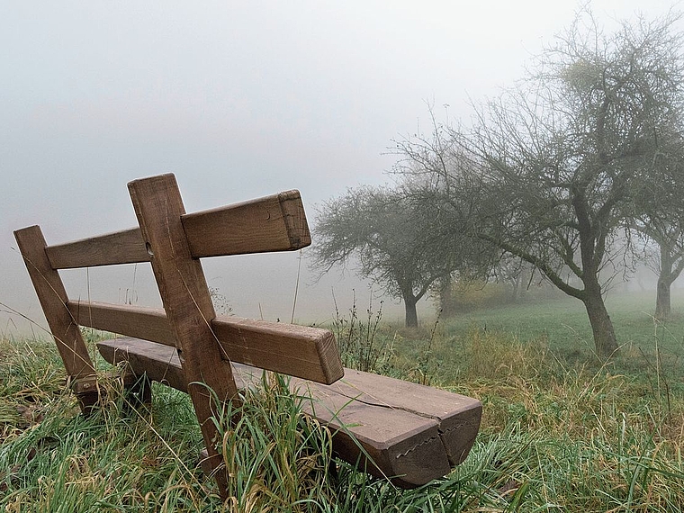 Das kirchliche Fest Allerheiligen kennt viele Facetten. Indirekt dazu gehören auch Bräuche im Vorfeld. Noch vor dem 1. November freuen sich die Grenchnerinnen und Grenchner auf die morgige Chürbisnacht und auf Halloween am Samstag. Bild: Freepik