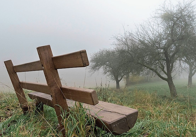 Das kirchliche Fest Allerheiligen kennt viele Facetten. Indirekt dazu gehören auch Bräuche im Vorfeld. Noch vor dem 1. November freuen sich die Grenchnerinnen und Grenchner auf die morgige Chürbisnacht und auf Halloween am Samstag. Bild: Freepik