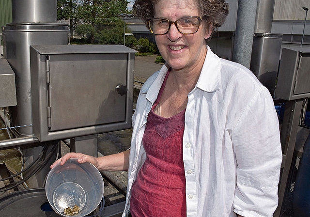 Catherine Fischer vom Vogel- und Naturschutz Grenchen: «Es kam auch vor, dass ganze 100 Tiere angeschwemmt wurden, aber meist sind es nur eines oder zehn.» 