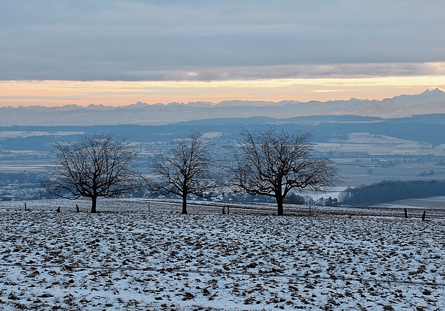 Keine Abendstimmung, sondern Morgenstimmung vom «Chappeli» in Grenchen aus gesehen. Ein bisschen Winter haben wir schon – vor allem auch, was die Kälte anbetrifft.