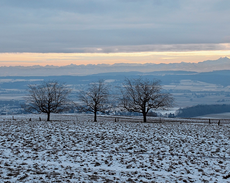 Keine Abendstimmung, sondern Morgenstimmung vom «Chappeli» in Grenchen aus gesehen. Ein bisschen Winter haben wir schon – vor allem auch, was die Kälte anbetrifft.