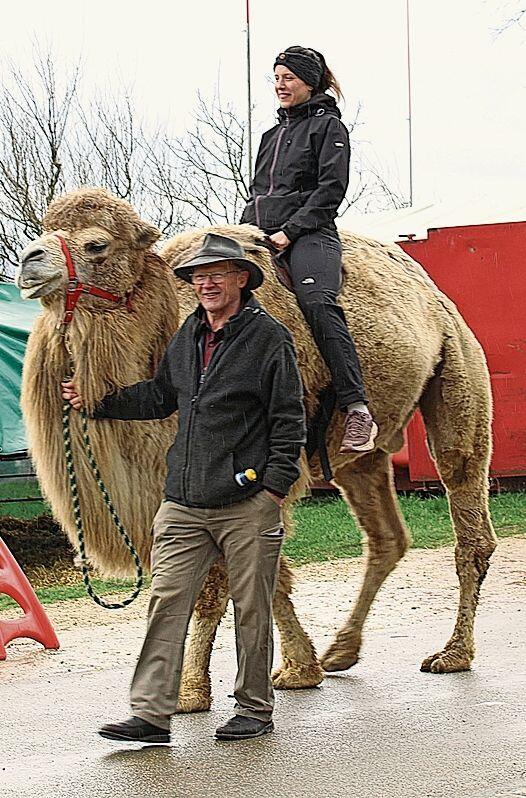 Für einmal nicht hoch zu Pferd, sondern hoch zu Kamel. 