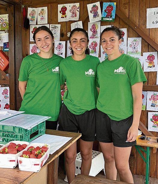 Es braucht viele Hände, die mitarbeiten. Hier an der Wäg- und Verkaufsstation in der Witi: Nina Reichlin aus Bettlach sowie Federica und Giorgia Sartore aus Bellach, die ihre Studentenkasse etwas aufbessern und gerne Erdbeeren essen.