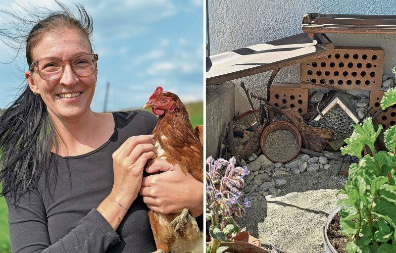 Jette Endmann engagiert sich auch in der Organisation «Mein Huhn mein Ei». Auf den Bildern zeigt sich der vielfältige Lebensraum für Klein- und Kleinstwesen und etwa getrocknete Heilkräuter, die von Jette Endmann in verschiedener Form verarbeitet werden. Bilder: zvg