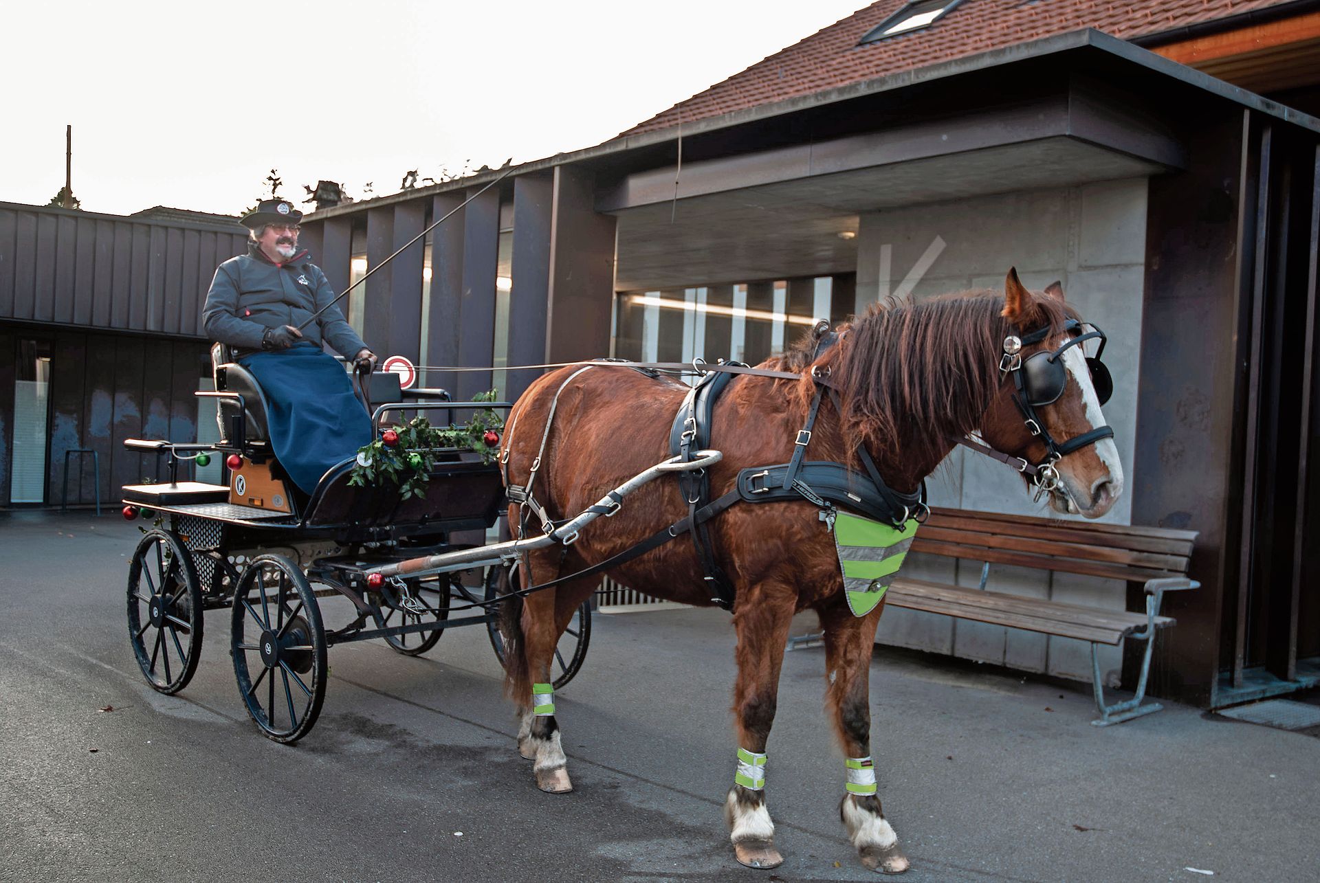 Daniel von Burg, Mitglied der Lengnauer Ortsvereinigung (LOV), bietet mit seinem Pferd Mooshof Beryl die Kutschentouren an.