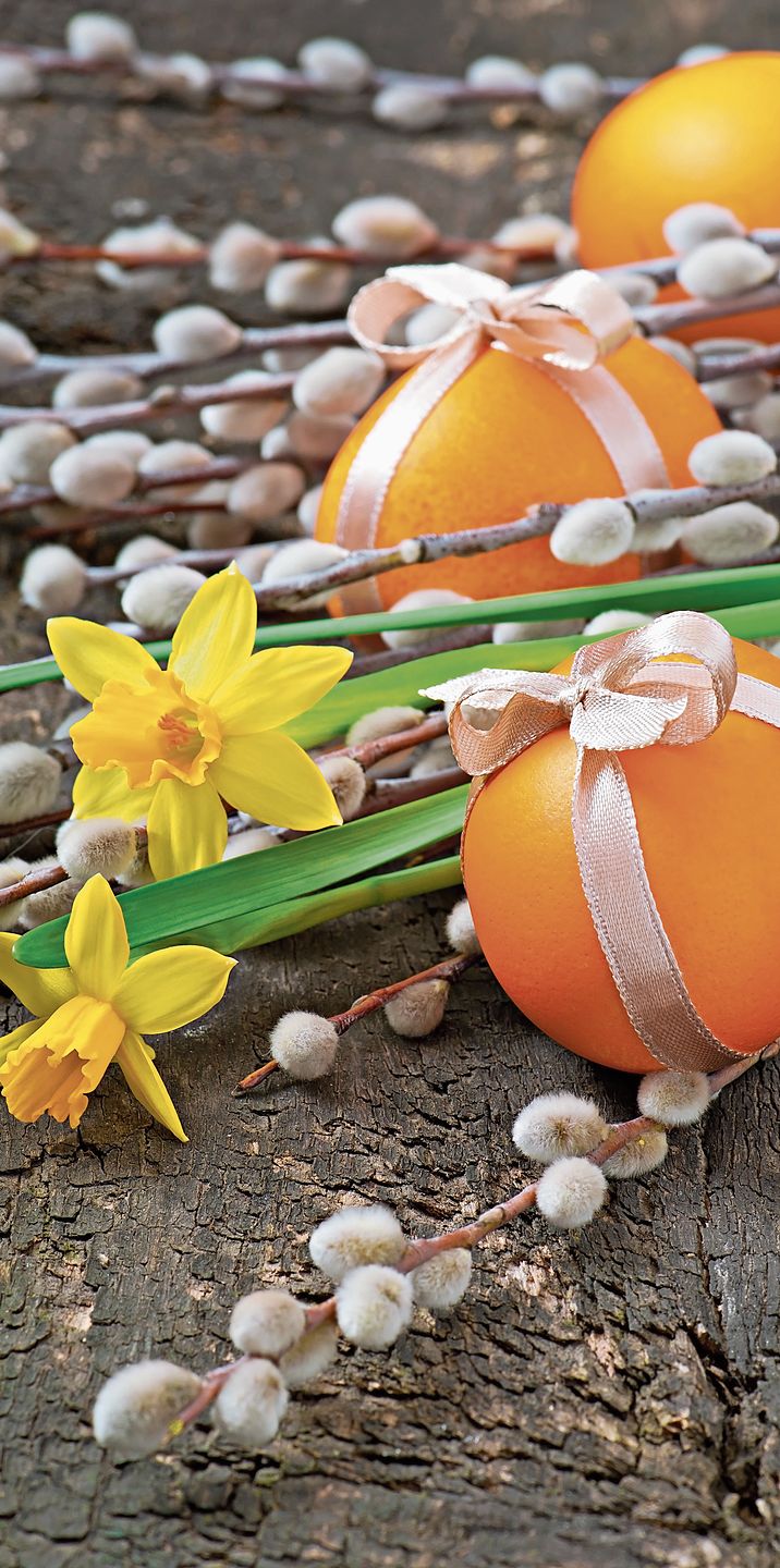 Bild: Freepik Bild: Freepik