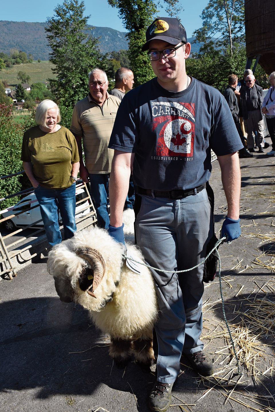 Andi Wampfler bringt ein Schwarznasenschaf zur Bewertung. Andi Wampfler bringt ein Schwarznasenschaf zur Bewertung.